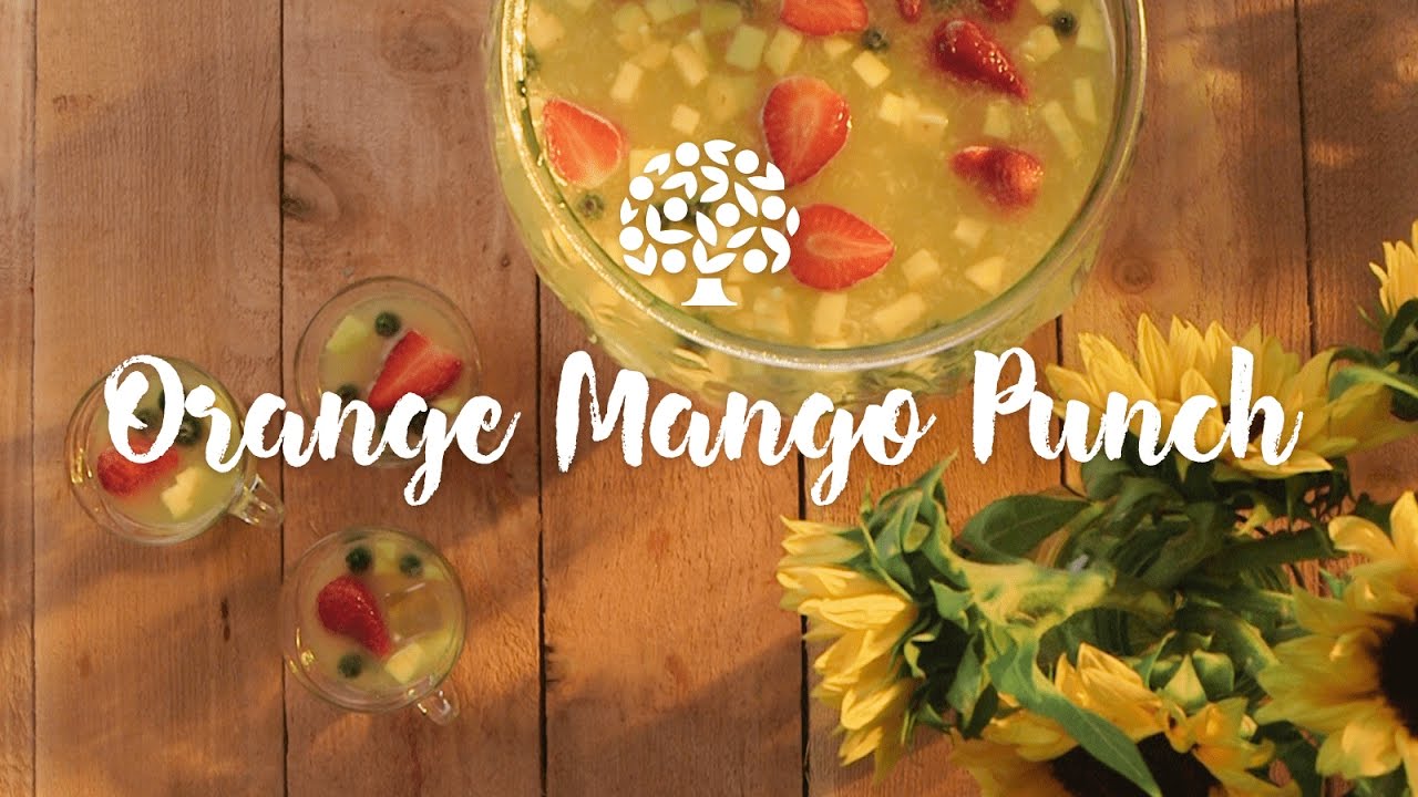 Florida Orange Juice Mango Punch